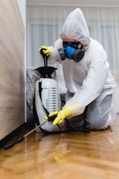 Best Bed Bug Extermination  in Uniondale, NY